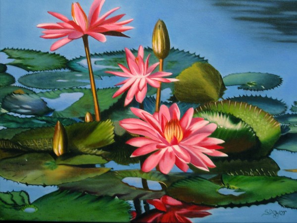 Water Lilies 