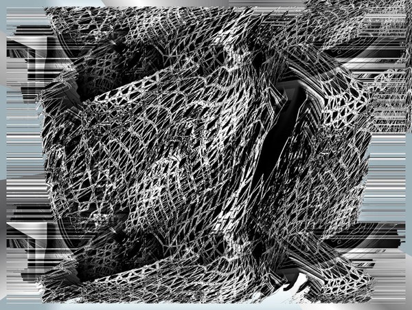 Net Black Ship