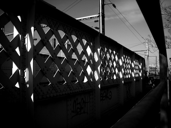 Rail's eyes