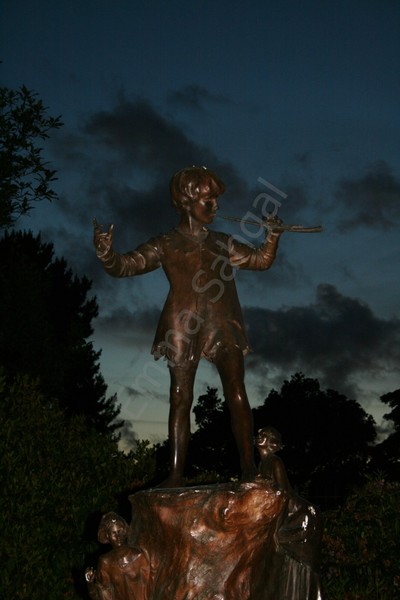 Peter Pan