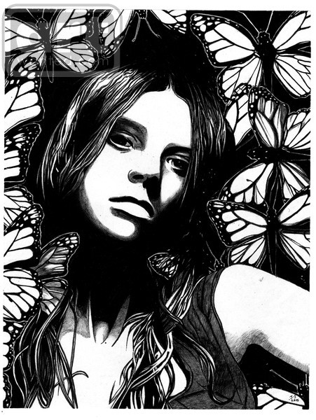 Butterflies