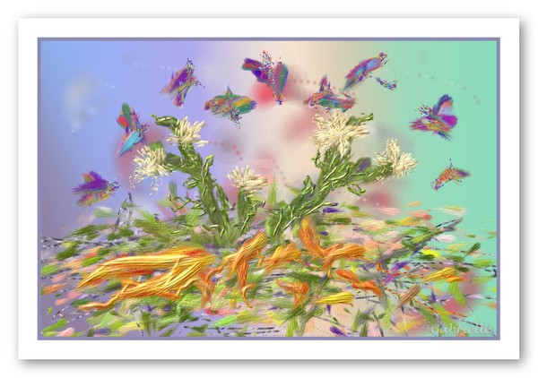 Birds or Butterflies ?