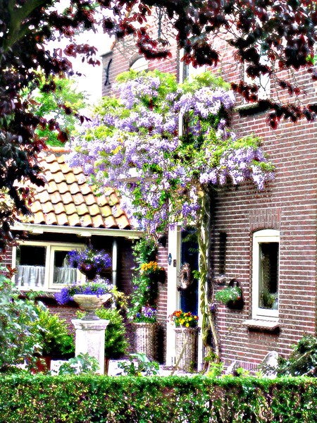 Dutch Cottage