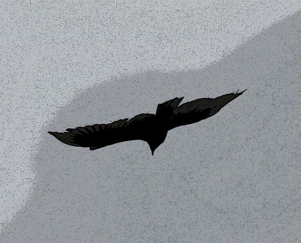 Soaring High