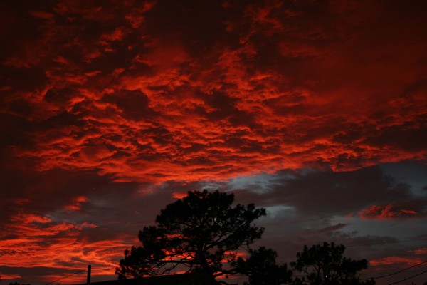 Fire in the Sky