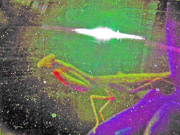 MANTIS 