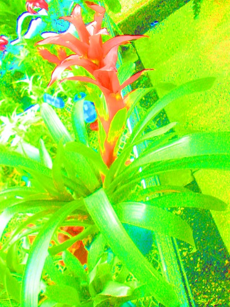REE TREE