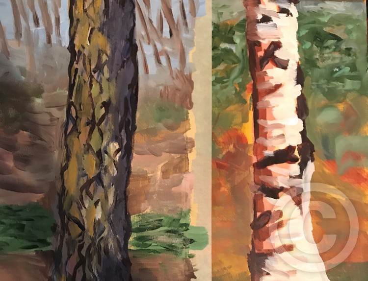 Tree trunks