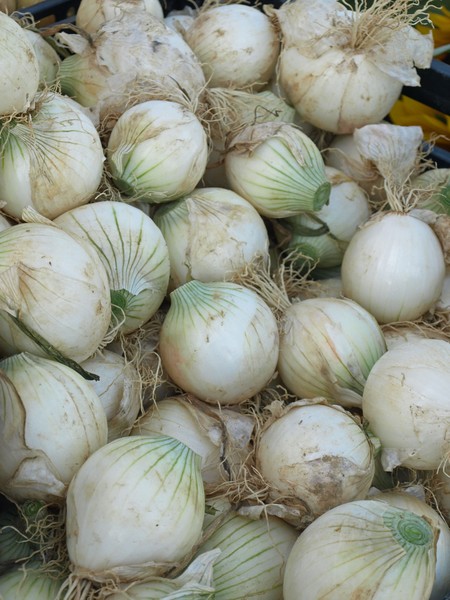WHITE ONOINS