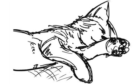 Cat Sketch