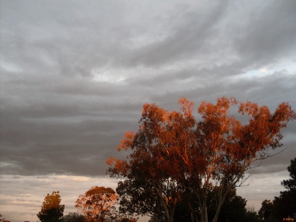 The Colour of Sunset
