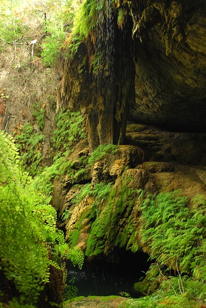 West Cave Preserve