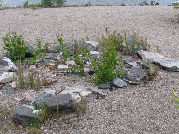 ROCKS