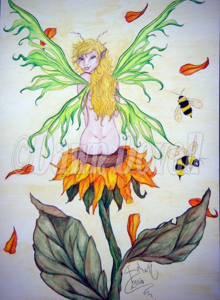 MisBeehaven