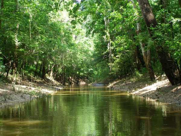 Creek