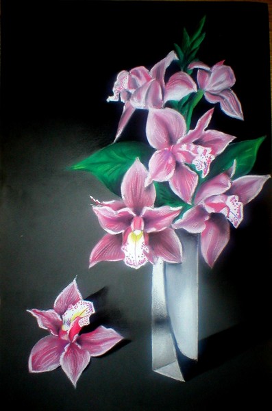 Orchids (Orhideje)