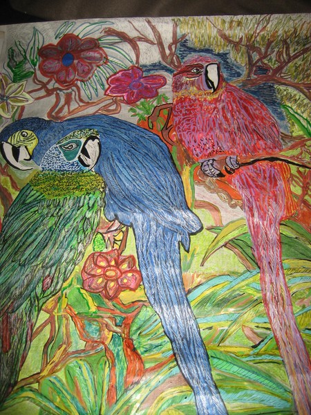 Three birds