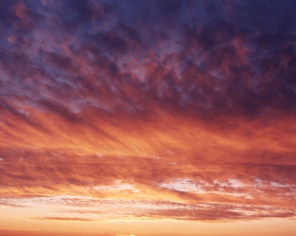 Painted Sky