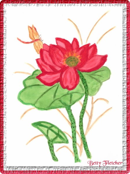 Lotus Flower in Frame