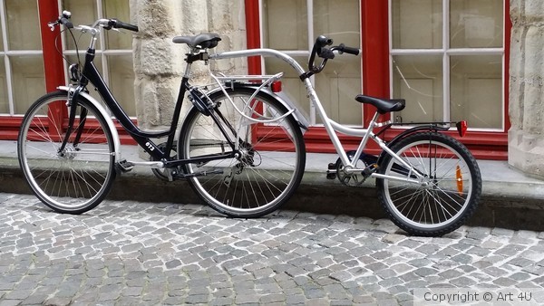 A Bycycle made for two !!