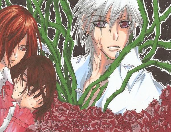 VK Roses