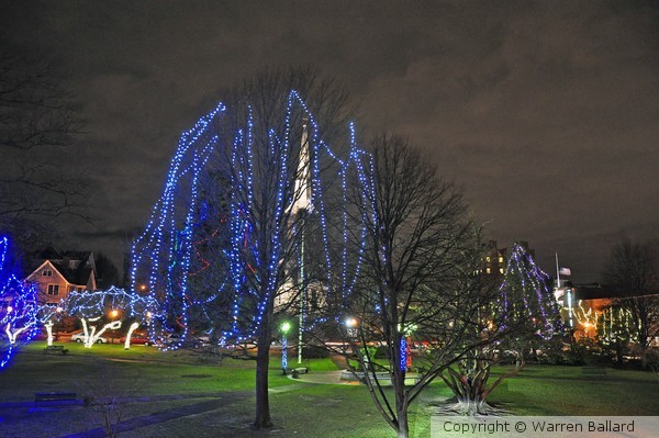 Christmas Season at the Common
