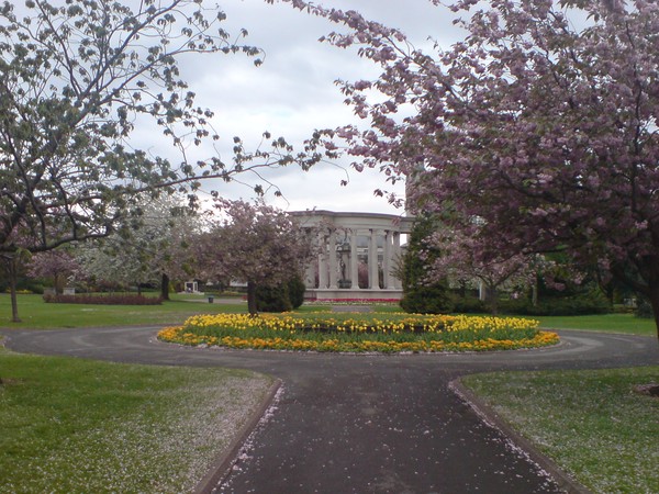 Bute Park