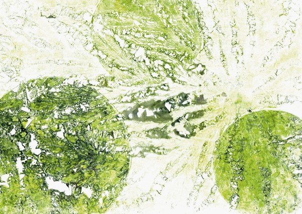 monotype