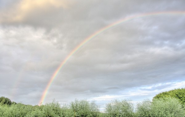 Rainbow #4
