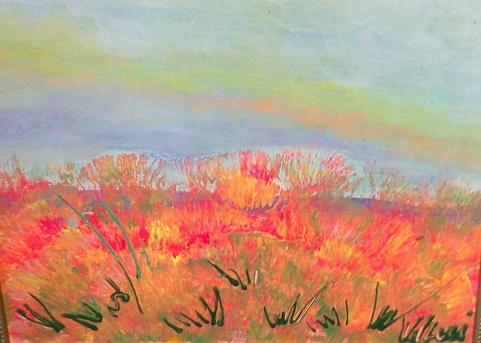 Sandwich Marsh