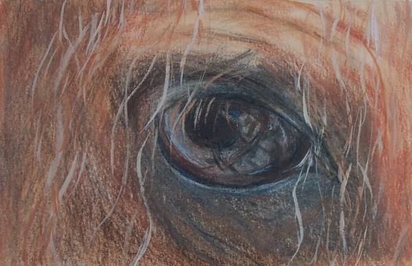 The Eyes Have It...