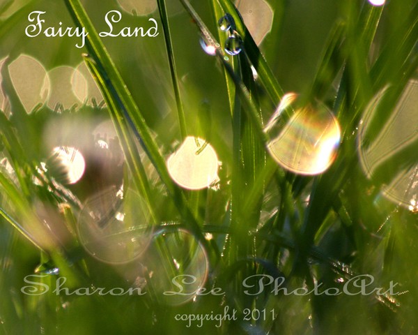Magical land of Fairies