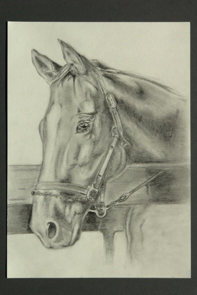 Horse Head