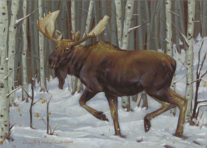 Through The Aspen