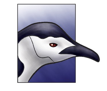Chinstrap Penguin