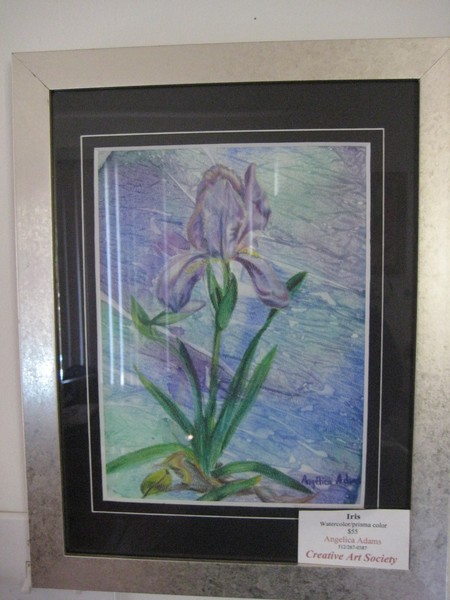 Iris