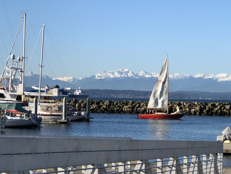 Shilshole I