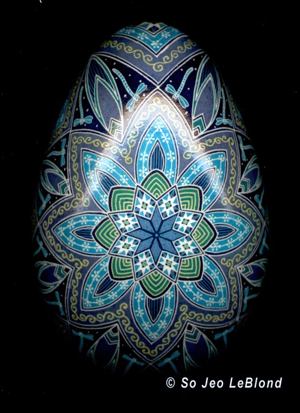 Midnight Flight of the Dragonfly