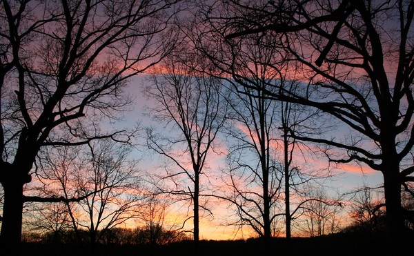 Sun Set 811