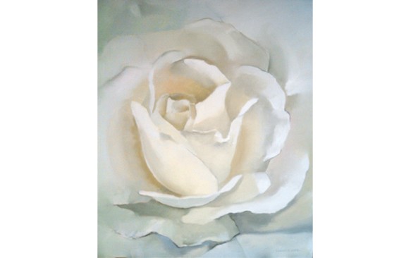 White rose