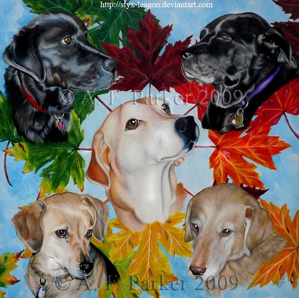 Seasons of the Heart