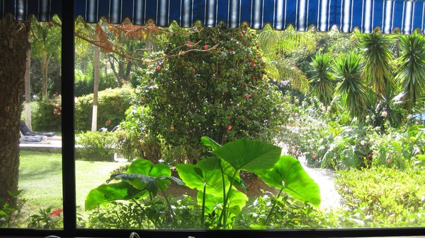 Hotel Ixtapan Garden Morning