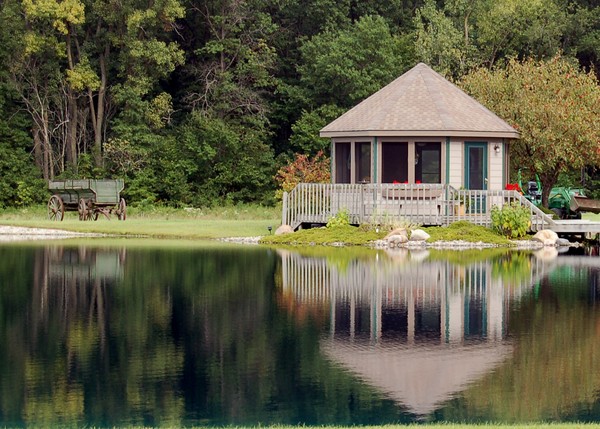 Pond