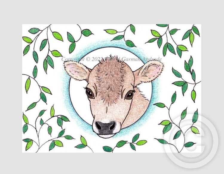 Jersey Calf Whimsical Illustration
