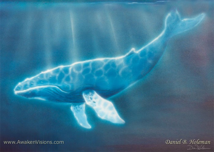 H036WhaleBelow 5x7