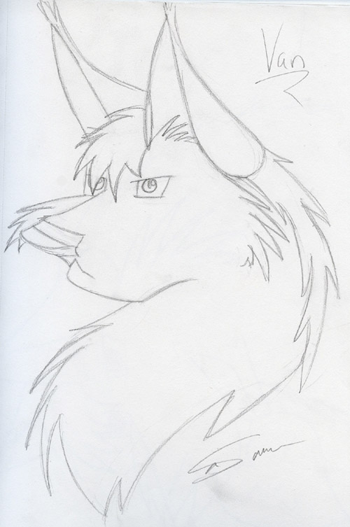 Van wolf
