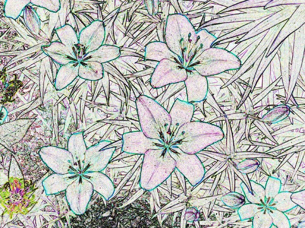 Essence of Nature 4
