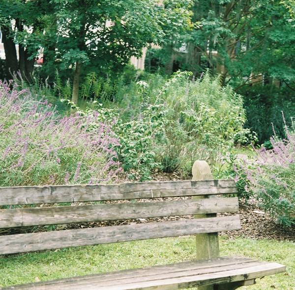 Bench