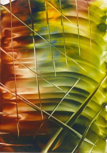 Plastic Bottle
