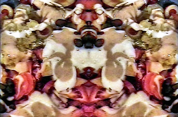 Siamese Twins